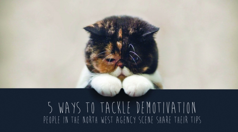 Demotivated cat - 5 ways to tackle demotivation